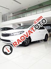 Cần bán Kia Cerato 2.0 đời xe 2017 giá rẻ-2