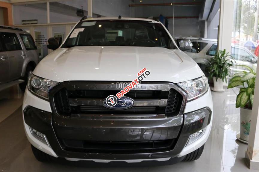 Cần bán xe Ford Ranger năm 2017, nhập khẩu nguyên chiếc-10