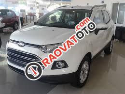 Bán Ford EcoSport Titanium 1.5P AT năm 2017, màu trắng, 658tr-1