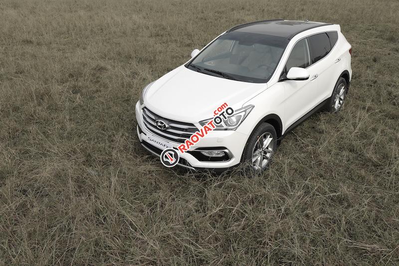 Cần bán Hyundai Santa Fe đời 2017, màu trắng-4