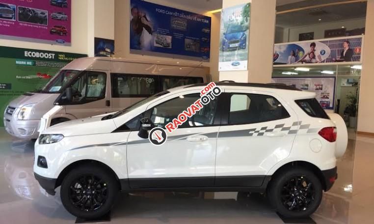 An Đô Ford - Bán các phiên bản Ford Ecosport năm 2017, hỗ trợ trả góp 80%, giao xe ngay-5