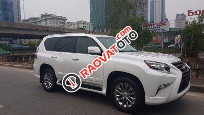 Cần bán lại xe Lexus GX 460 đời 2015, màu trắng, nhập khẩu-6