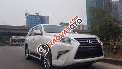 Cần bán lại xe Lexus GX 460 đời 2015, màu trắng, nhập khẩu-3