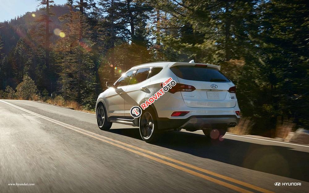 Cần bán Hyundai Santa Fe đời 2017, màu trắng-15