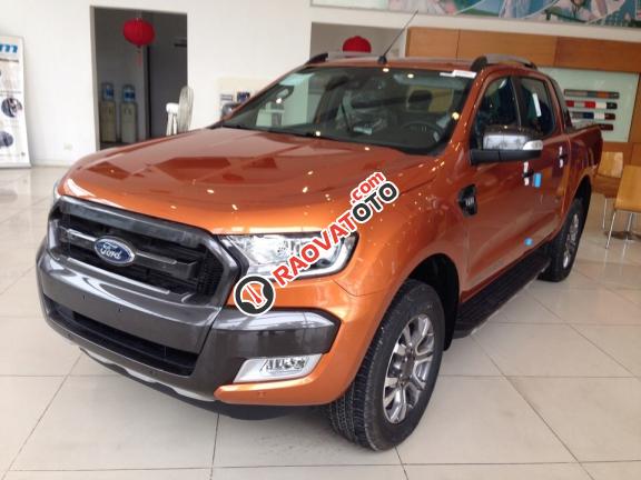 Cần bán xe Ford Ranger năm 2017, nhập khẩu nguyên chiếc-6