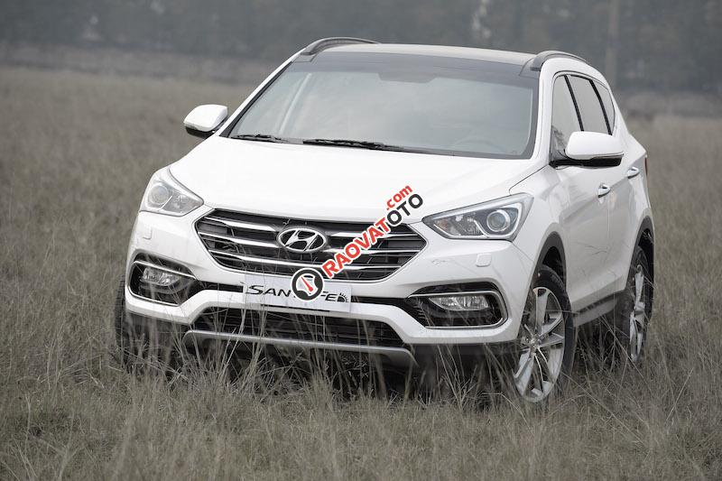 Cần bán Hyundai Santa Fe đời 2017, màu trắng-19
