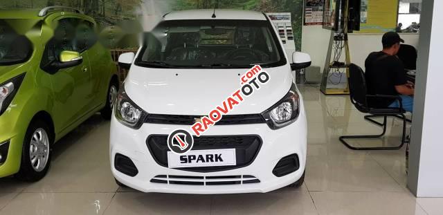 Bán xe Chevrolet Spark LS đời 2017, màu trắng-0