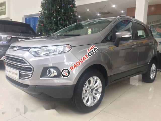 Bán xe Ford EcoSport sản xuất 2017 giá cạnh tranh-1