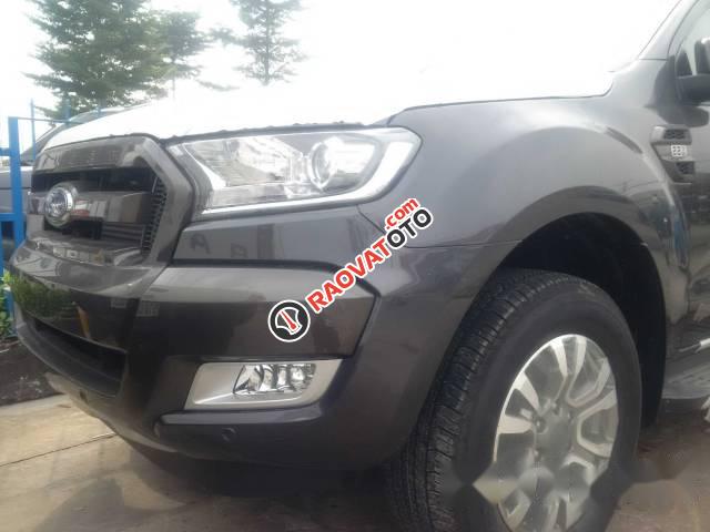 Bán Ford Ranger Wildtrak 2.2L đời 2017, màu xám, giá tốt-1