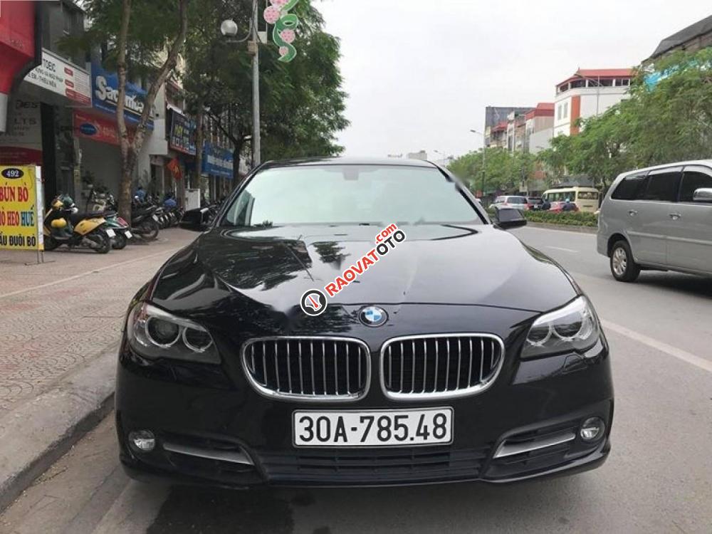 Bán xe BMW 5 Series 520i sản xuất 2015, màu đen-8