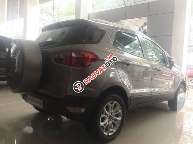 Bán xe Ford EcoSport sản xuất 2017 giá cạnh tranh-4