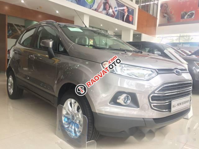 Bán xe Ford EcoSport sản xuất 2017 giá cạnh tranh-2