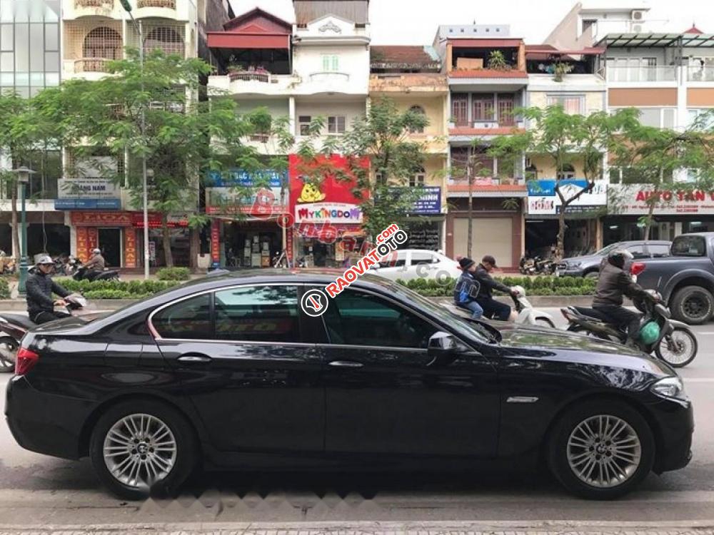 Bán xe BMW 5 Series 520i sản xuất 2015, màu đen-6