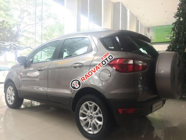 Bán xe Ford EcoSport sản xuất 2017 giá cạnh tranh-0