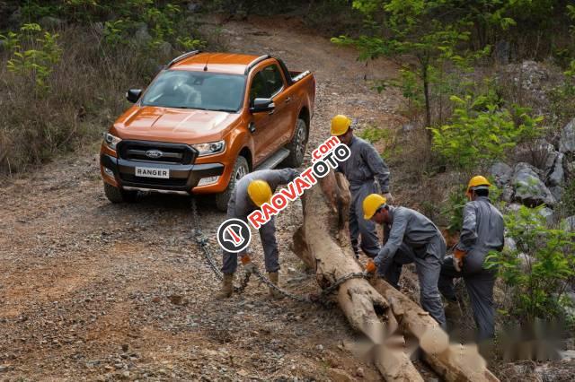 Bán Ford Ranger Wildtrak 3.2 Navigation đời 2017, màu cam-1