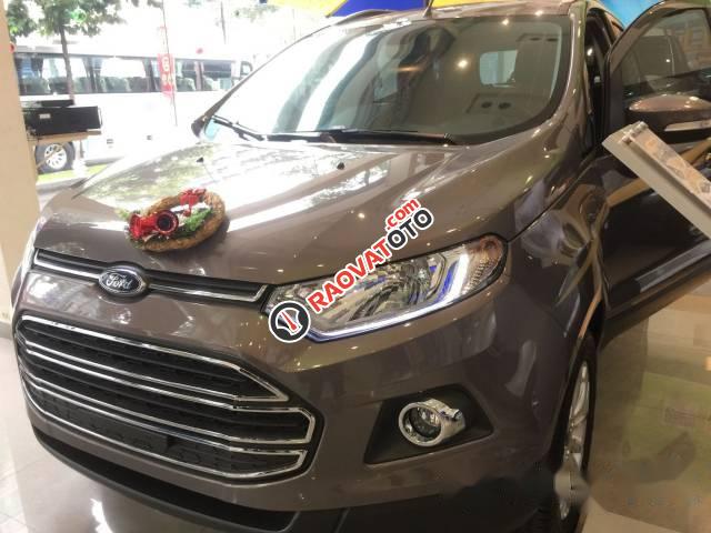 Cần bán Ford EcoSport đời 2017-0