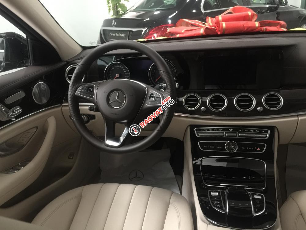 Bán Mercedes Benz E250 2016, màu đen-10