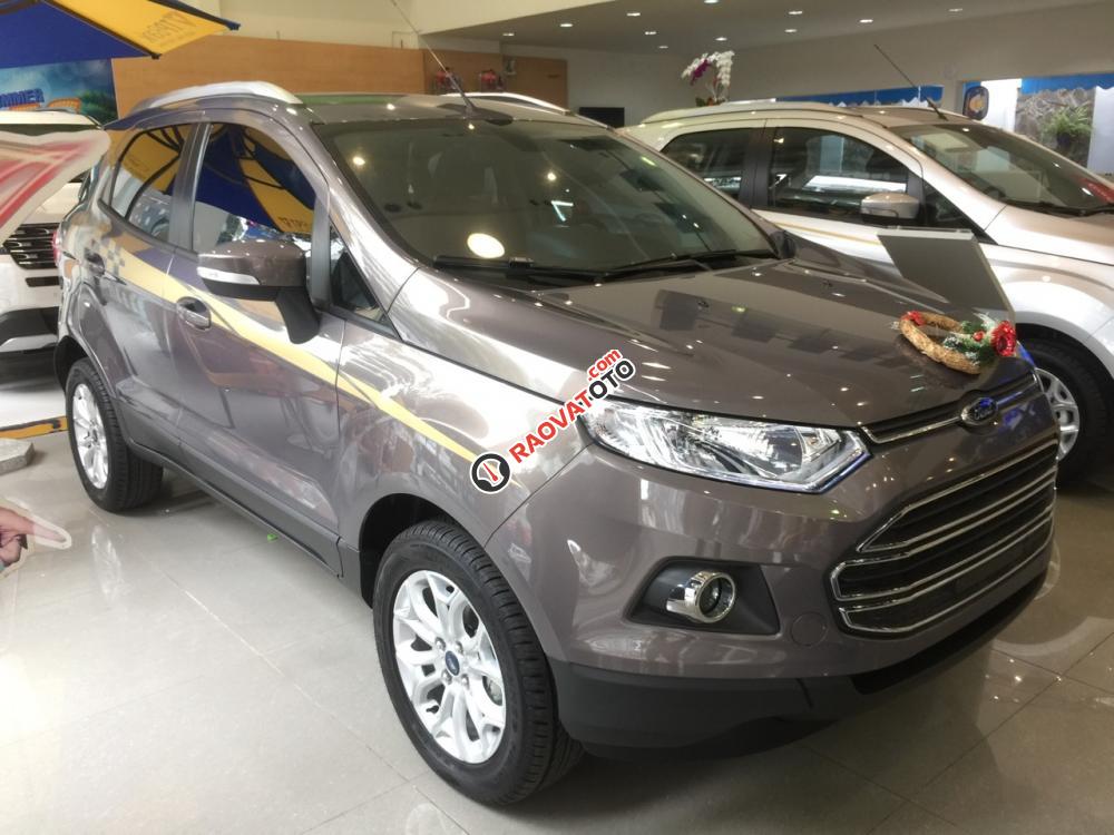 Ford Ecosport giá hấp dẫn cuối năm, tặng nhiều phần quà giá trị lên đến hàng chục triệu đồng-4