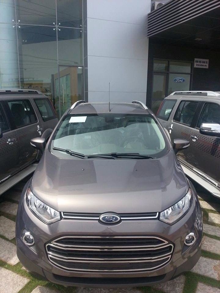 Cần bán Ford EcoSport đời 2017, nhập khẩu nguyên chiếc-5