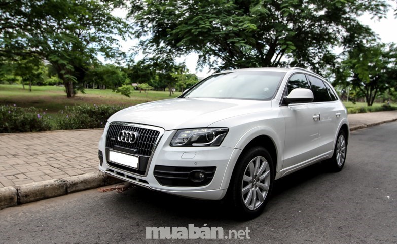 Bán xe Audi Q5 sản xuất 2010, màu trắng, nhập khẩu-0