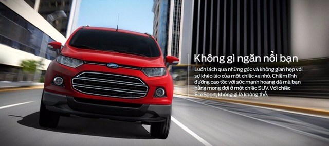 Cần bán xe Ford EcoSport đời 2017, nhập khẩu-10