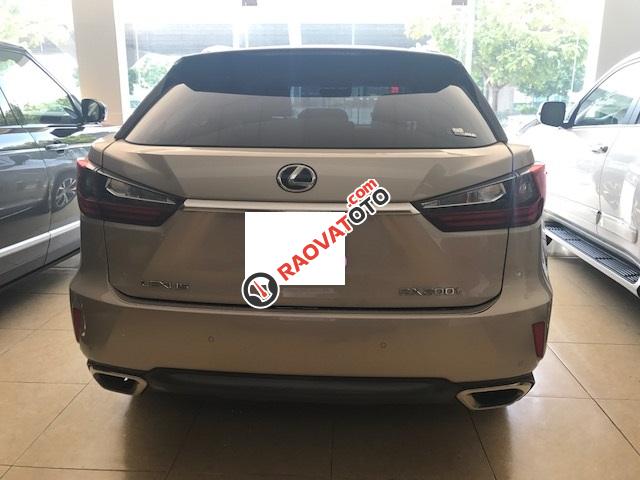 Bán Lexus RX350, vàng cát, nội thất nâu, xe sản xuất 2016, ĐK 2016 tên công ty biển Hà Nội-3