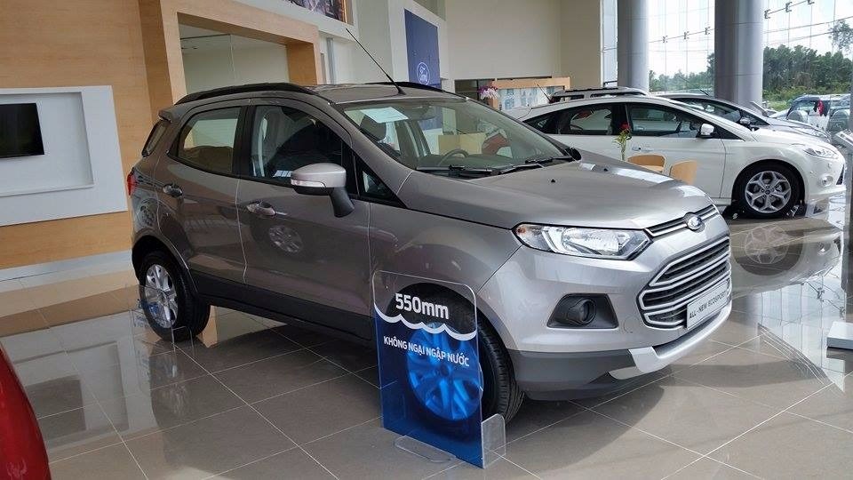 Cần bán Ford EcoSport đời 2017, nhập khẩu nguyên chiếc-2