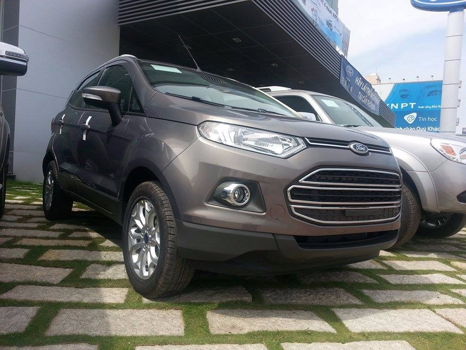 Cần bán Ford EcoSport đời 2017, nhập khẩu nguyên chiếc-3