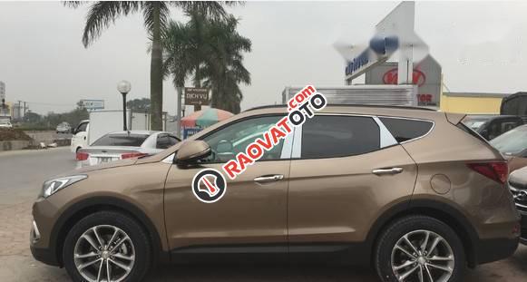 Cần bán xe Hyundai Santa Fe đời 2017, màu nâu-4