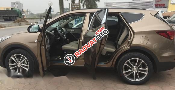 Cần bán xe Hyundai Santa Fe đời 2017, màu nâu-2