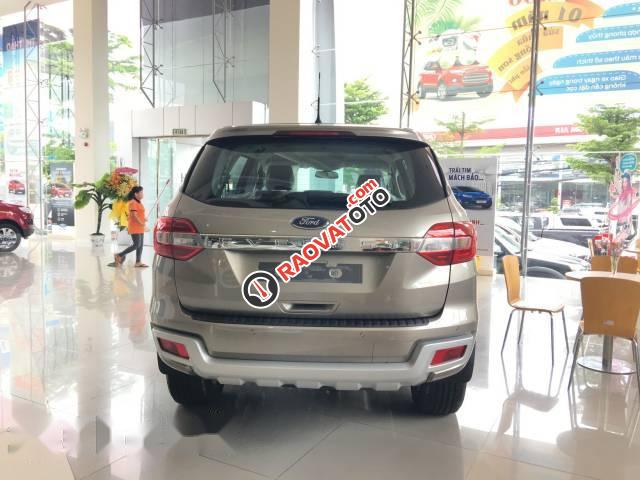 Cần bán xe Ford Everest 2.2 Trend đời 2017, màu ghi vàng  -4