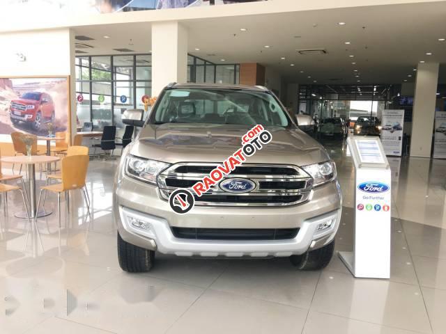 Cần bán xe Ford Everest 2.2 Trend đời 2017, màu ghi vàng  -0