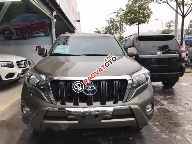 Bán ô tô Toyota Prado Limited đời 2017, màu xám-0