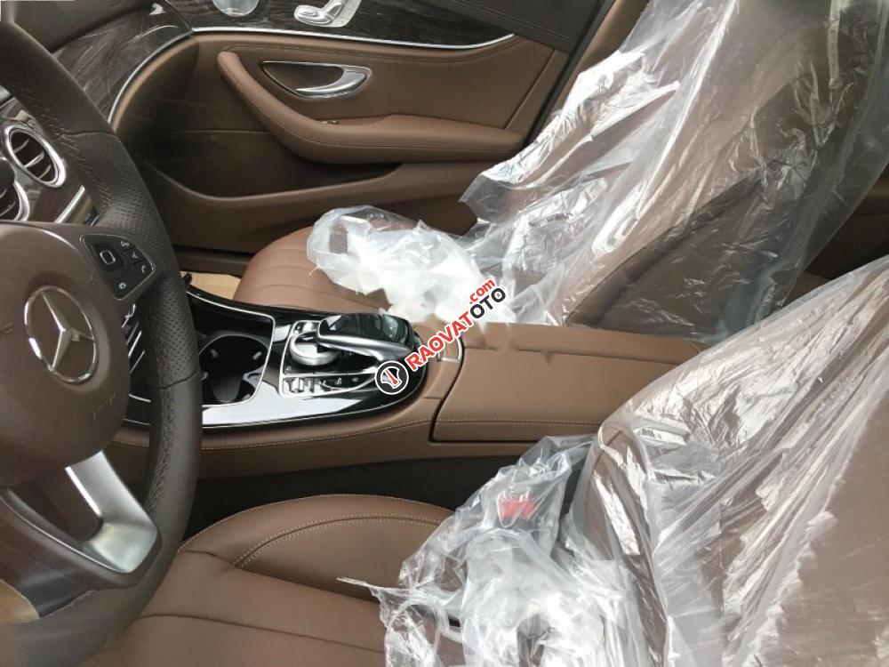 Bán xe Mercedes E250 đời 2017, màu xanh lam-5