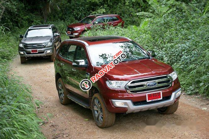 Bán Ford Everest Trend đời 2017, màu đỏ-5