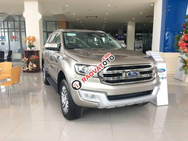 Cần bán xe Ford Everest 2.2 Trend đời 2017, màu ghi vàng  -1