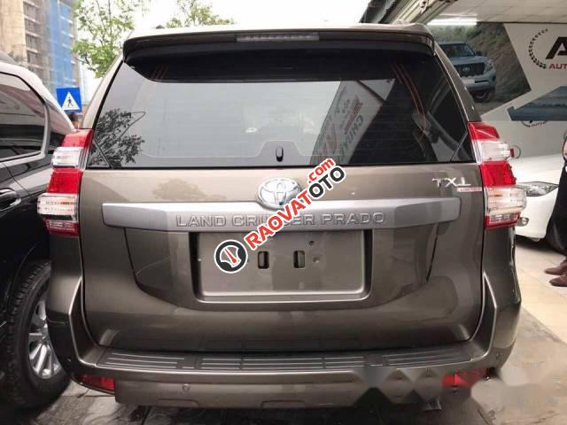 Bán ô tô Toyota Prado Limited đời 2017, màu xám-4