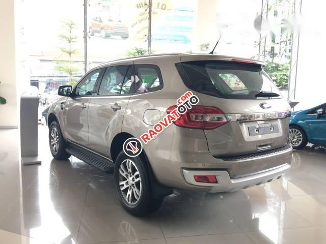 Cần bán xe Ford Everest 2.2 Trend đời 2017, màu ghi vàng  -5