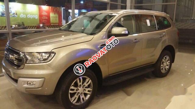 Bán ô tô Ford Everest 2.2 Trend năm 2017, màu bạc-4