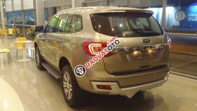 Bán ô tô Ford Everest 2.2 Trend năm 2017, màu bạc-3