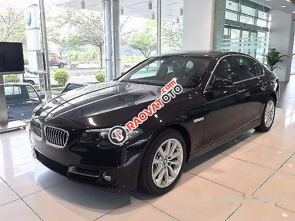 Bán xe BMW 528i 2017, màu đen, giá tốt-6