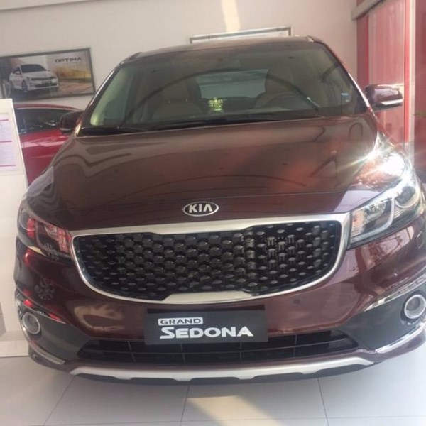 Bán xe Kia Sedona đời 2017, màu đỏ, nhập khẩu-4