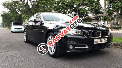 Bán ô tô BMW 5 Series sản xuất 2016, màu đen, nhập khẩu-2