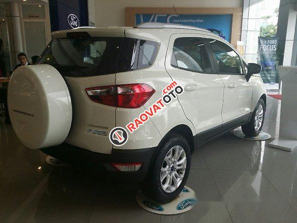 Bán Ford EcoSport Titanium đời 2017, màu trắng-2