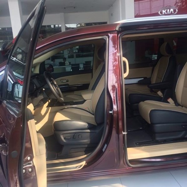 Bán xe Kia Sedona đời 2017, màu đỏ, nhập khẩu-2