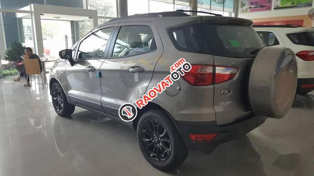 Bán xe Ford EcoSport đời 2017, màu xám-1