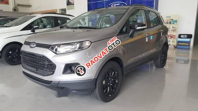 Bán xe Ford EcoSport đời 2017, màu xám-0