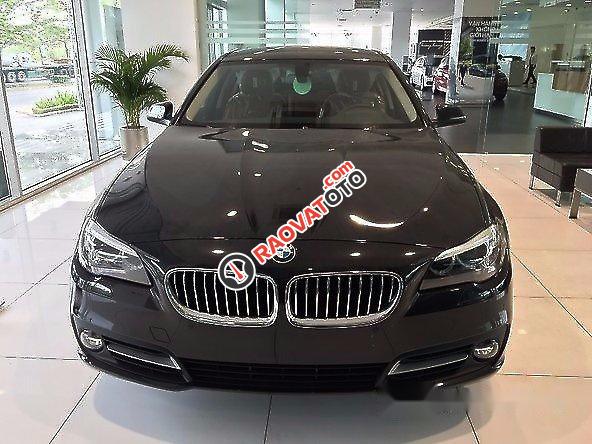 Bán xe BMW 528i 2017, màu đen, giá tốt-0