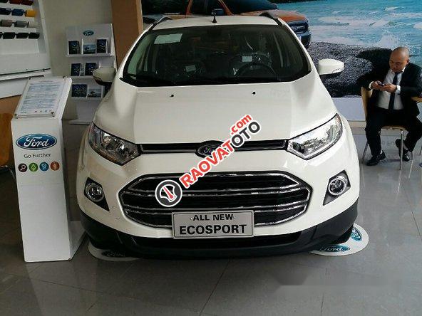 Bán Ford EcoSport Titanium đời 2017, màu trắng-0