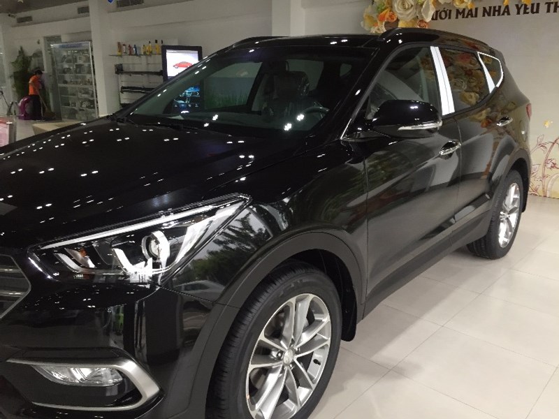 Cần bán Hyundai Santa Fe đời 2017, màu trắng, nhập khẩu nguyên chiếc-10